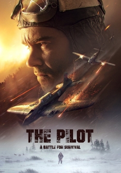 watch-The Pilot. A Battle for Survival